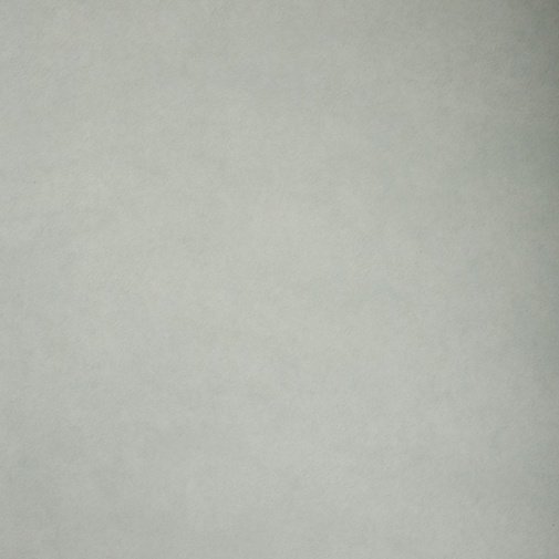 Обои Sanderson Parchment Flowers DPFWPP106 изображение 1