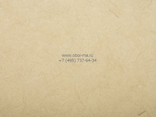 Обои Zoffany Archi papers AWP07002 изображение 1