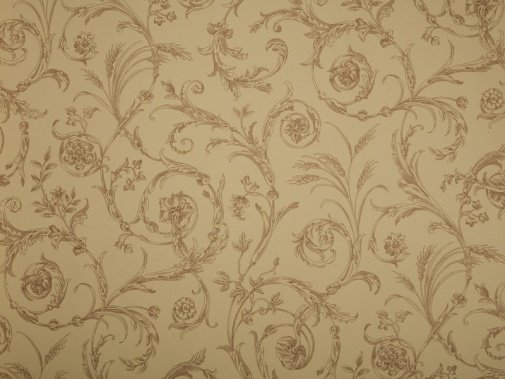 Обои Sanderson Toile Collection DEGTSC102 изображение 1