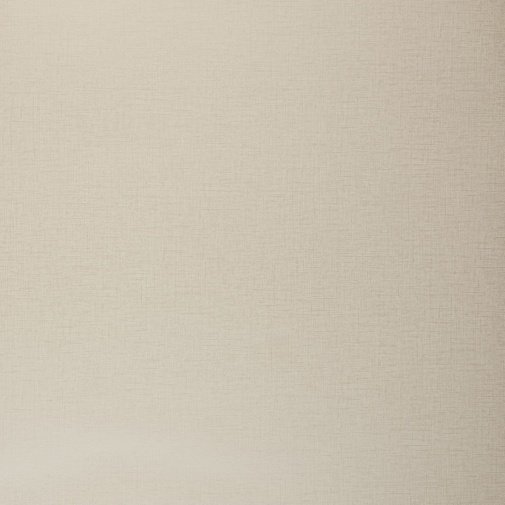 Обои Clarke & Clarke Showstoppers W0006-23 изображение 1