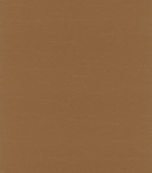 Обои Rasch African Queen II 474220 изображение 1