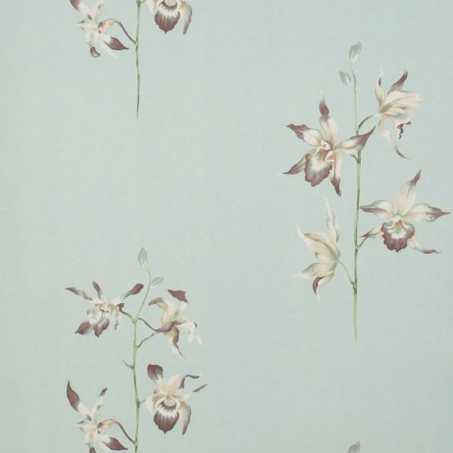 Обои Sanderson Classic Collection 2 DCLAPO-103 изображение 1