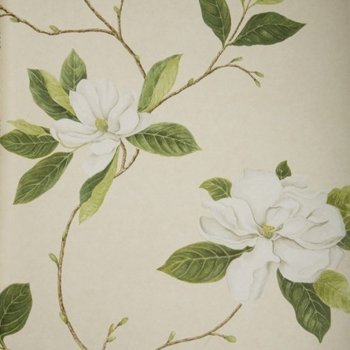 Обои Sanderson Parchment Flowers DPFWSW102 изображение 1