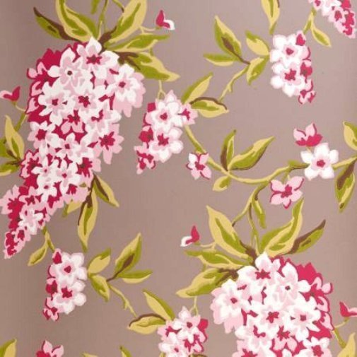 Обои Clarke & Clarke Showstoppers W0022-03 изображение 1