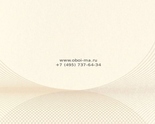 Обои Marburg The Wall 78927 изображение 1