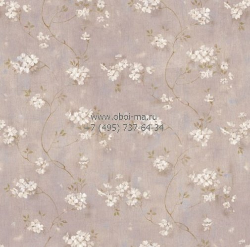 Обои Chesapeake Pure Country PUR44105 изображение 1