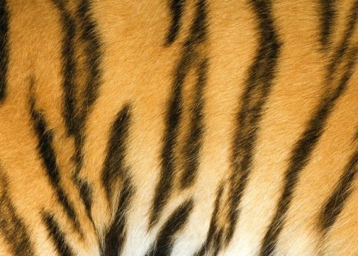 Обои Decoprint NV Mood MD904008 изображение 1