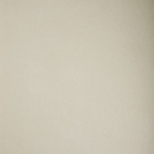 Обои Sanderson Parchment Flowers DPFWPP101 изображение 1