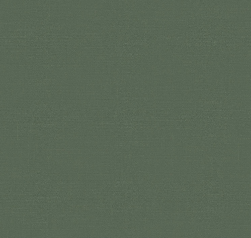 Обои Loymina Шервуд Brit31-005-3 изображение 1