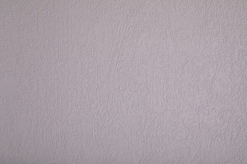 Обои Loymina Beresta (под покраску) BRS1-001 изображение 1