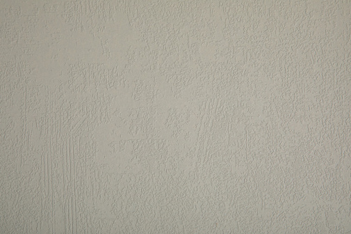 Обои Loymina Beresta (под покраску) BRS1-012 изображение 1