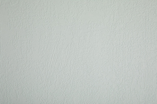 Обои Loymina Beresta (под покраску) BRS1-014 изображение 1