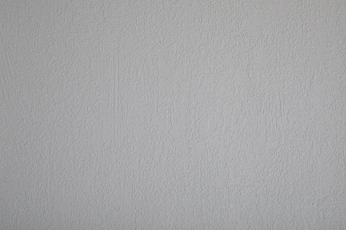 Обои Loymina Beresta (под покраску) BRS1-015 изображение 1