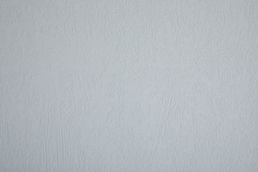 Обои Loymina Beresta (под покраску) BRS1-016 изображение 1