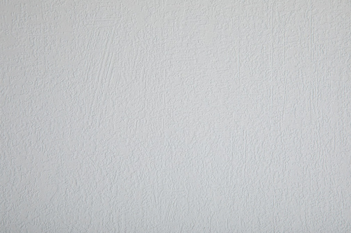 Обои Loymina Beresta (под покраску) BRS1-017 изображение 1