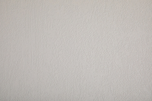 Обои Loymina Beresta (под покраску) BRS1-018 изображение 1