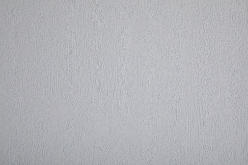 Обои Loymina Beresta (под покраску) BRS1-019 изображение 1