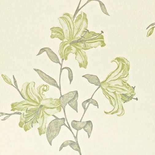 Обои Sanderson Painter's Garden DAPGSE105 изображение 1