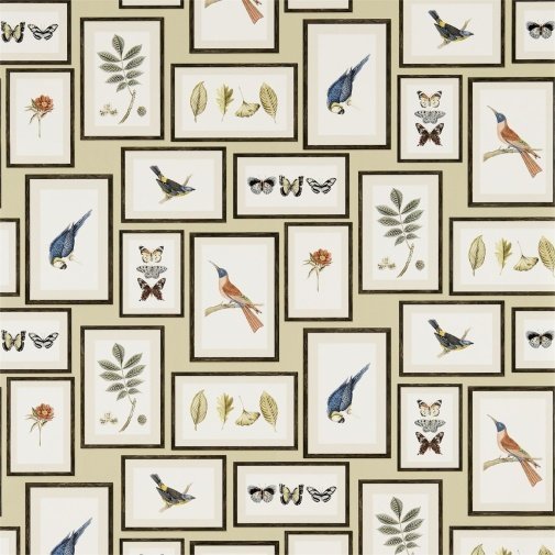 Обои Sanderson Voyage of Discovery Wallpapers DVOY213399 изображение 1