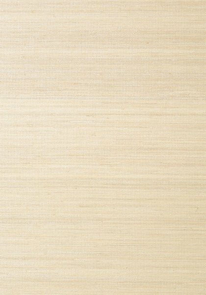 Обои Thibaut Grasscloth Resource III T41116 изображение 1