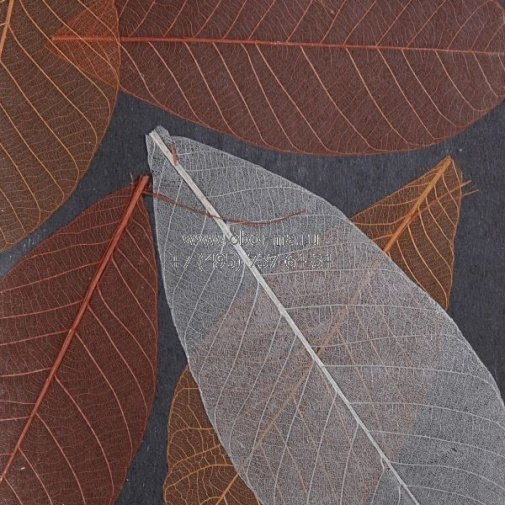 Обои Texam Star Dreams SD21034 изображение 1