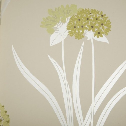 Обои Sanderson Pom Pom Papers DPOMLI106 изображение 1