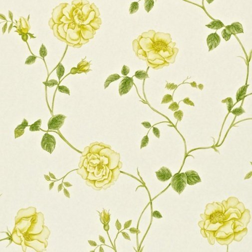 Обои Sanderson Painter's Garden DAPGRO102 изображение 1