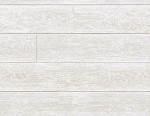 Обои Carl Robinson Edition 22 CL80401 изображение 1