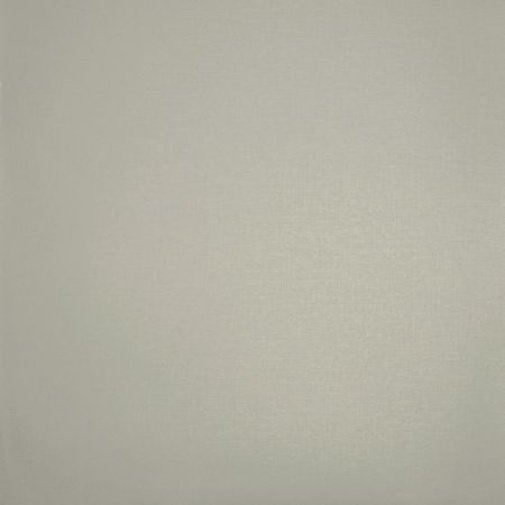 Обои Clarke & Clarke Showstoppers W0006-12 изображение 1