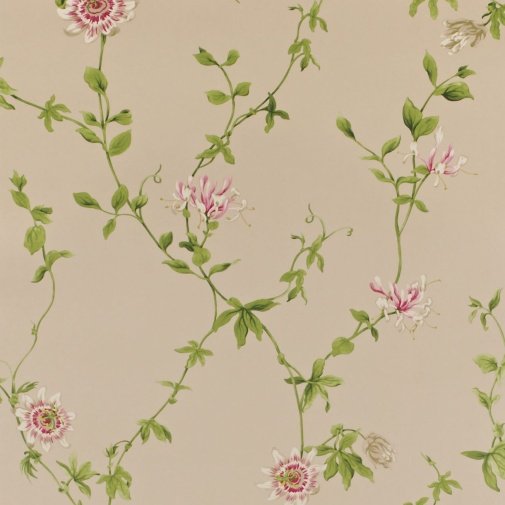 Обои Sanderson Classic Collection 2 DCLAPF-103 изображение 1