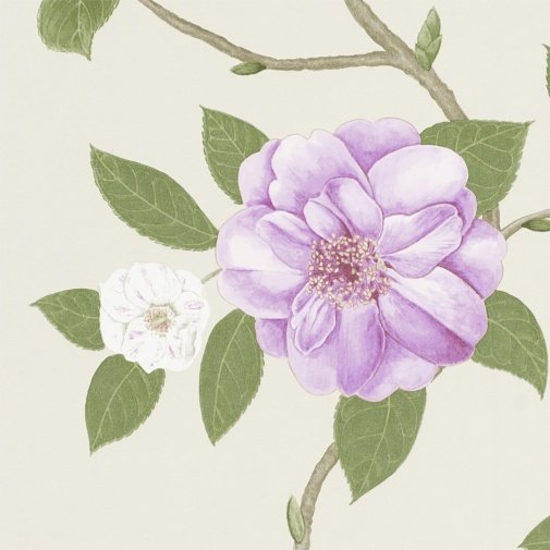 Обои Sanderson Voyage of Discovery Wallpapers DVOY213375 изображение 1