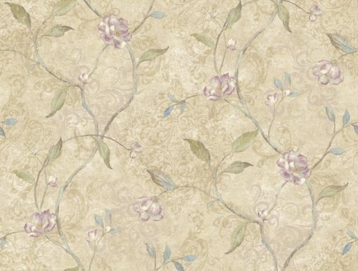 Обои York Charlotte TB4237 изображение 1