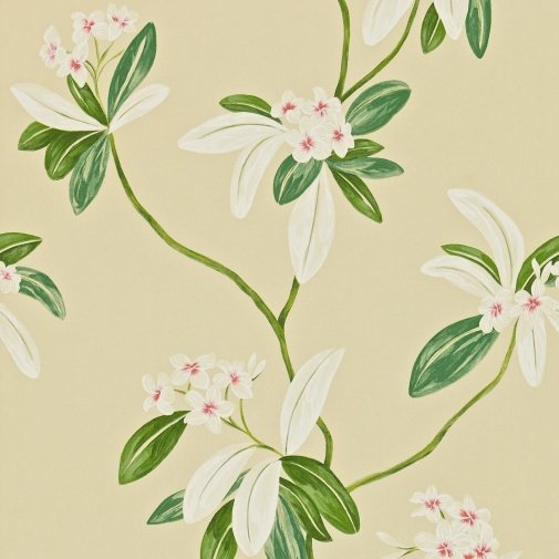 Обои Sanderson Richmond Hill DRCH212130 изображение 1