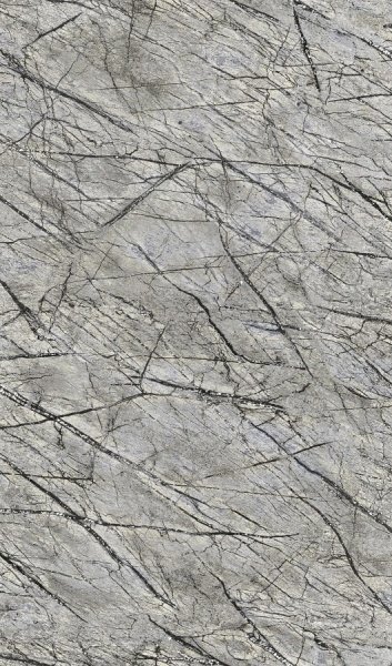 Обои Rasch African Queen II 474015 изображение 1