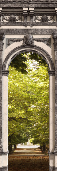 Обои Loymina Illusion DF-008 изображение 1