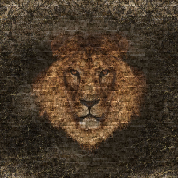 Обои Loymina Illusion DM-039 изображение 1