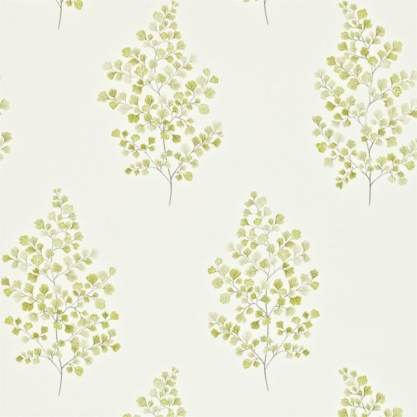 Обои Sanderson Maycott Wallpaper DMAY211998 изображение 1