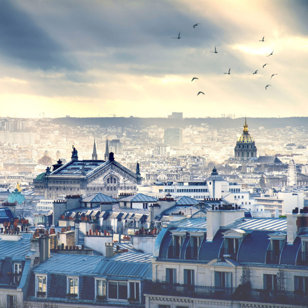 Обои Loymina Illusion DS-002 изображение 1