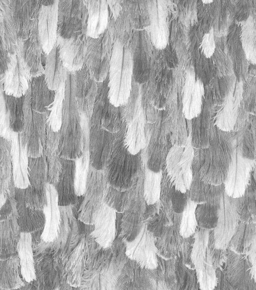 Обои Rasch African Queen II 473308 изображение 1