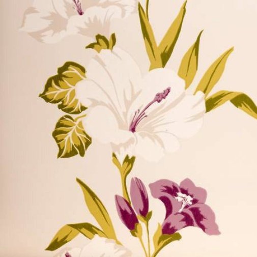Обои Clarke & Clarke Showstoppers W0024-04 изображение 1