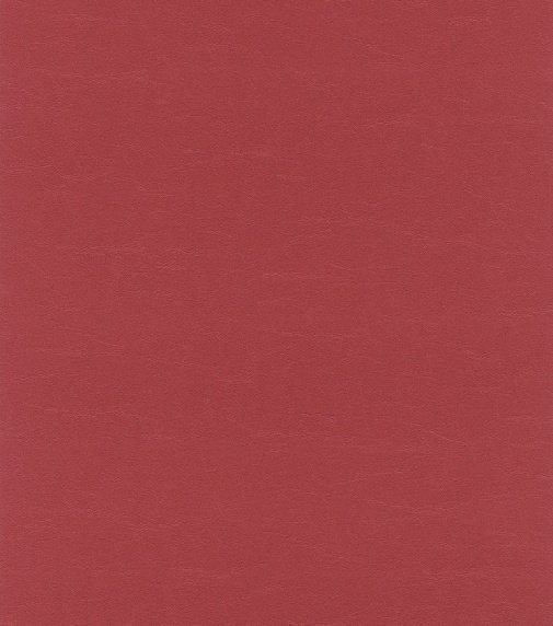 Обои Rasch African Queen II 474213 изображение 1