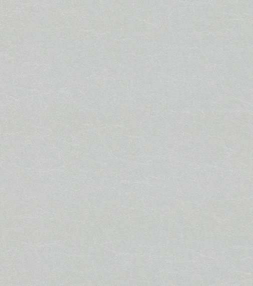 Обои Rasch African Queen II 474237 изображение 1