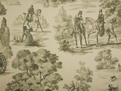 Обои Sanderson Toile Collection DEGTFH102 изображение 1