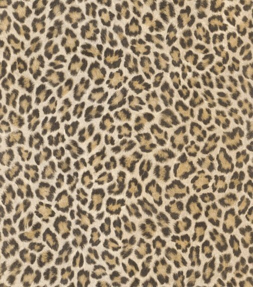 Обои Rasch African Queen II 473612 изображение 1