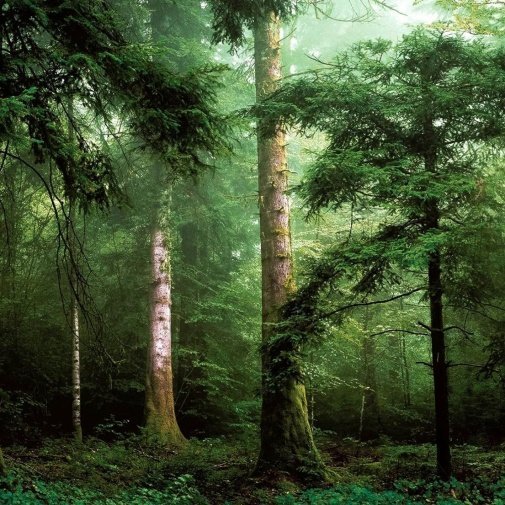 Обои Ugepa Horizons L59604 изображение 1