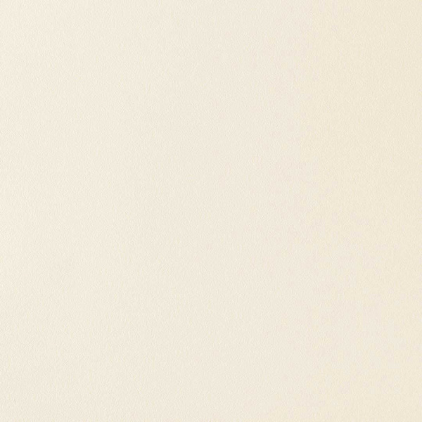 Обои Parati&Parati Uno FN26023 изображение 1