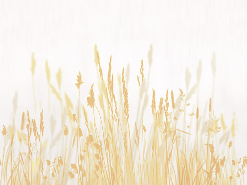 Фрески Affresco Symphony HM9420-COL5 изображение 1