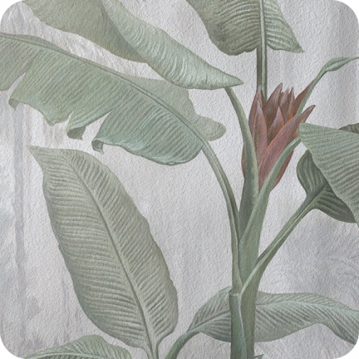 Фрески Applico Фактуры фресок Коралл изображение 1