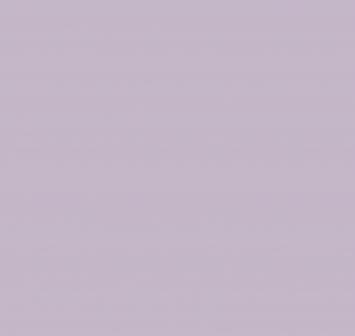 Обои Loymina Lotus Universe LOT2-807 изображение 1