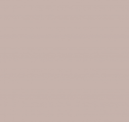 Обои Loymina Materials Lotus Universe LOT2-902 изображение 1